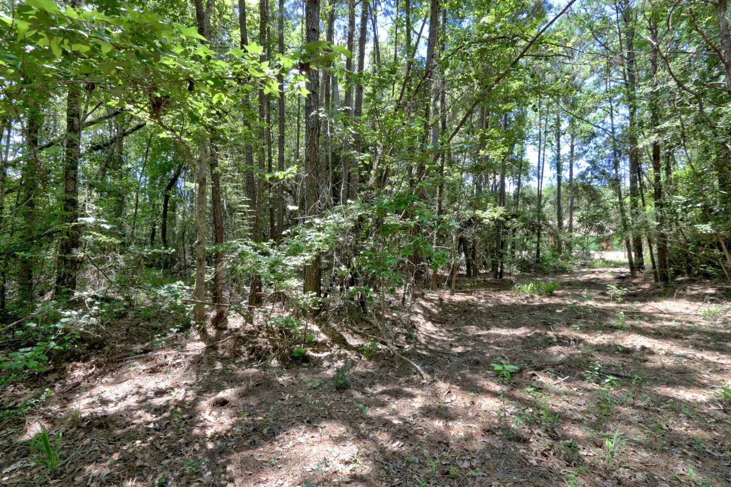 Wooded homesite at 258 Heartland Road